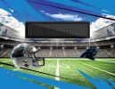 [Personalization Only] Official NFL Panthers -62"x84"
